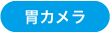 胃カメラ