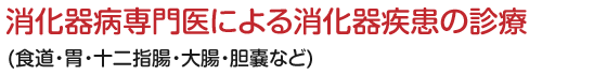 消化器病専門医による消化器疾患の診療(食道・胃・十二指腸・大腸・胆嚢など)