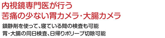 内視鏡専門医が行う苦痛の少ない胃カメラ･大腸カメラ 鎮静剤を使って、寝ている間の検査も可能 胃・大腸の同日検査、日帰りポリープ切除可能